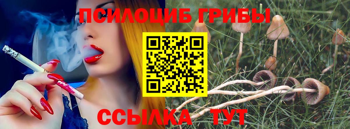 Лосино-Петровский  Псилоцибиновые грибы MAGIC MUSHROOMS  Вход с VPN 
